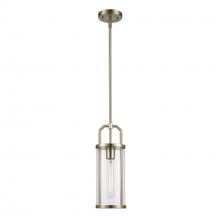 Trans Globe PND-2234 AG - 1LT PENDANT-CYLINDER GLASS-M-A